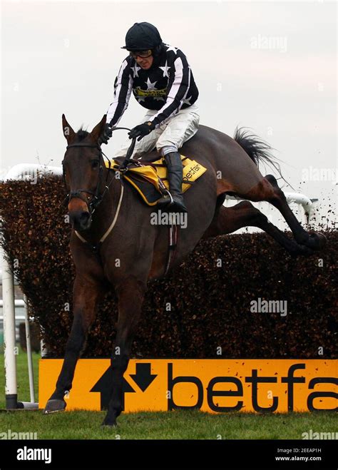 racing results at haydock|15:10 Haydock .